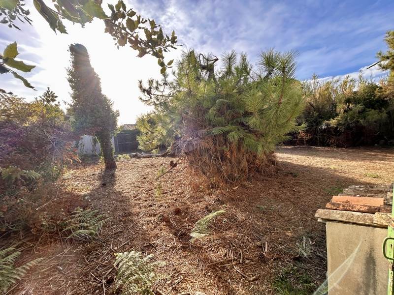 Vente Maison Sainte-Marie-de-Ré - 4 pièces -65 m² - (17740)