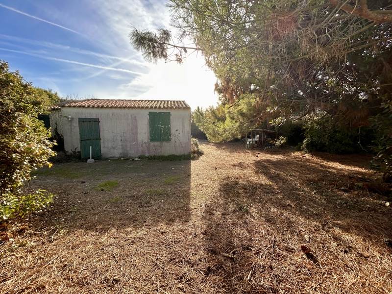 Vente Maison Sainte-Marie-de-Ré - 4 pièces -65 m² - (17740)