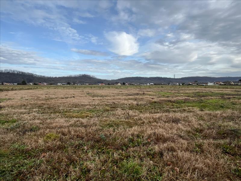 Vente Terrain BORDES - -1037 m² - (64510)