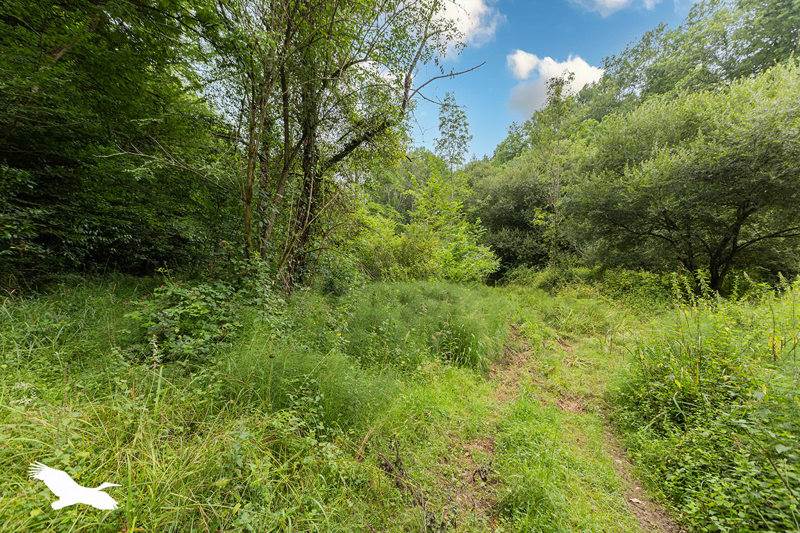 Vente Terrain JURANCON - -101027 m² - (64110)