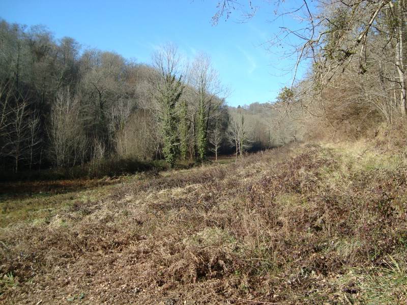 Vente Terrain JURANCON - -101027 m² - (64110)