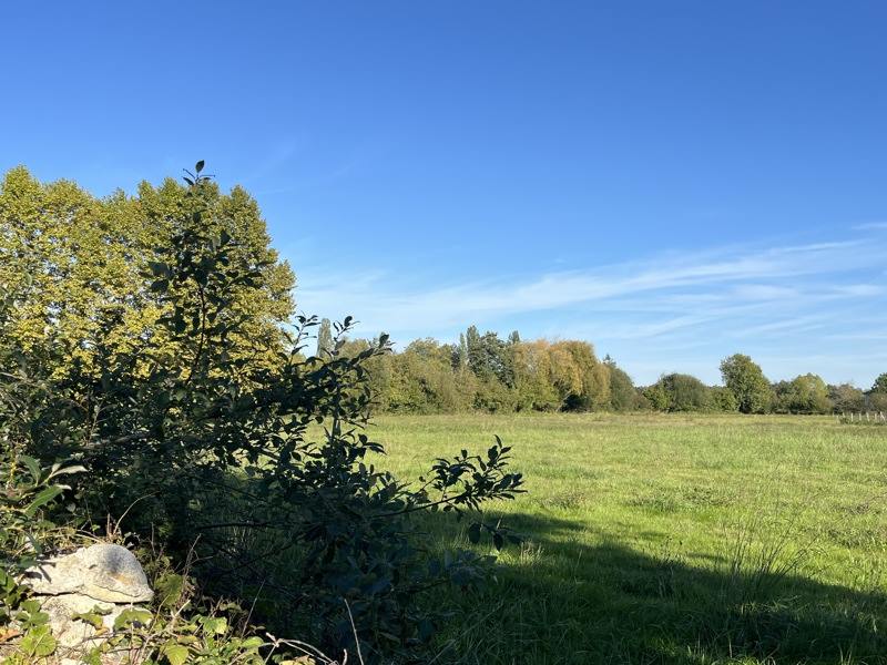 Vente Terrain NARCASTET - -536 m² - (64510)