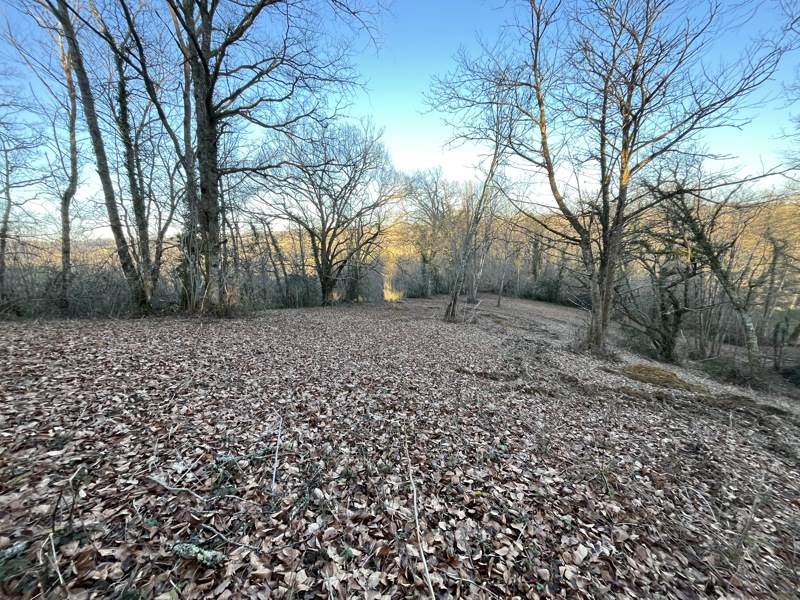 Vente Terrain LASSEUBE - -5300 m² - (64290)