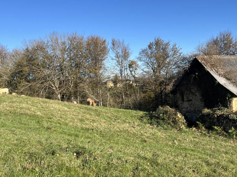 Vente Maison GAN - 1 pièce -70 m² - (64290)