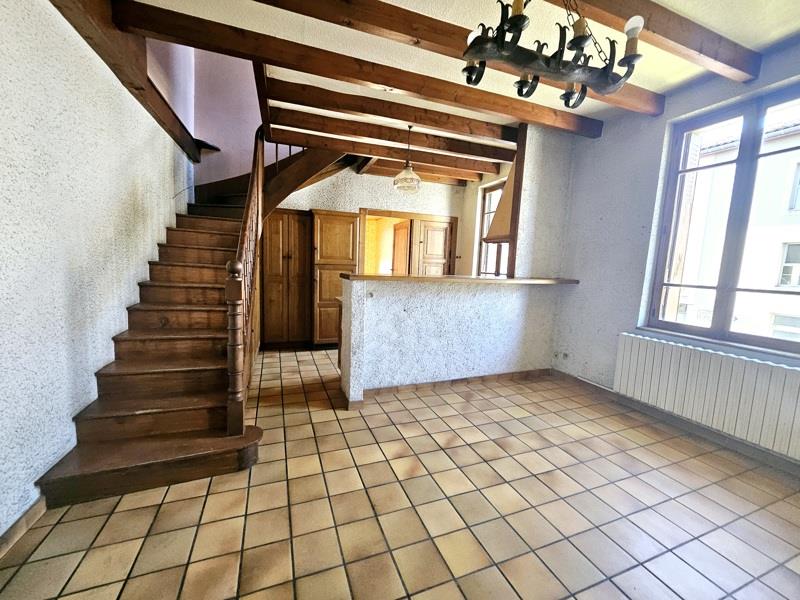 Vente Immeuble MIREPOIX - -  432 m² - (09500)