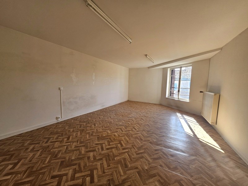 Vente Immeuble MIREPOIX - -  432 m² - (09500)