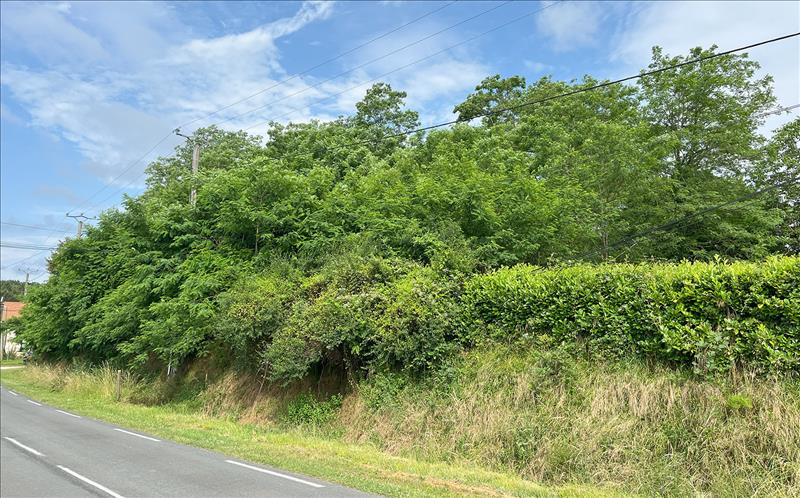 Vente Terrain DOUZILLAC - -2338 m² - (24190)