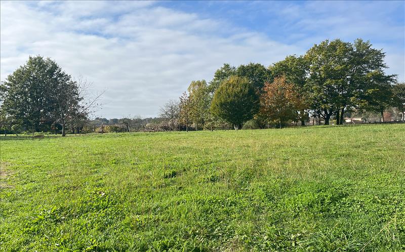 Vente Terrain DOUZILLAC - -827 m² - (24190)