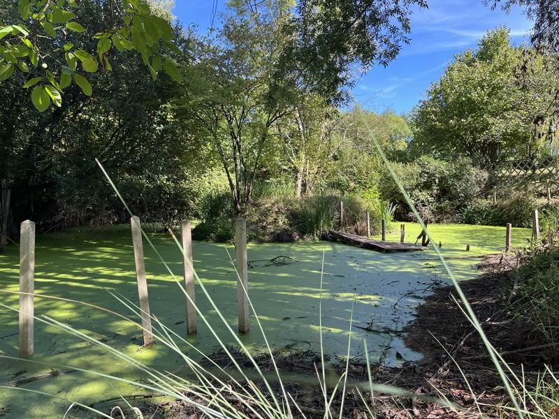 Vente Maison MUSSIDAN - 5 pièces -110 m² - (24400)