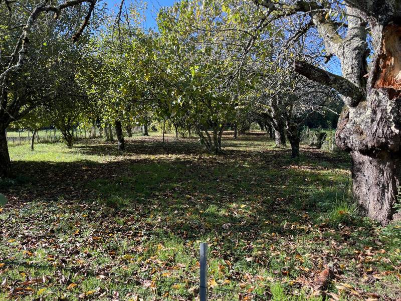 Vente Maison ST MEDARD DE MUSSIDAN - 5 pièces -110 m² - (24400)