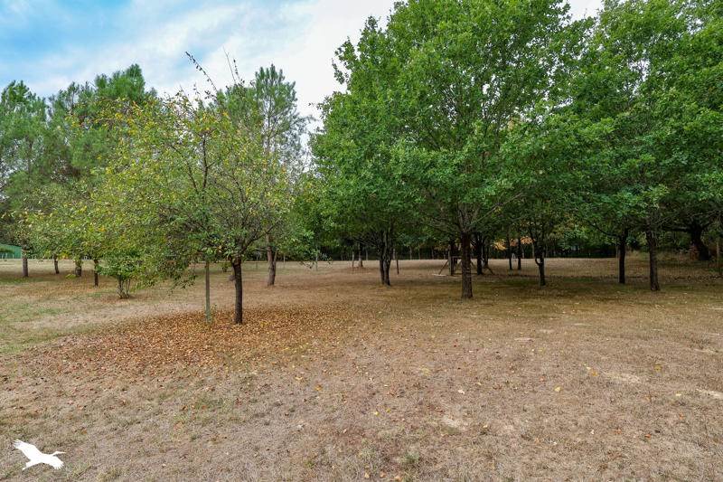 Vente Maison Saint-André-de-Double - 5 pièces -131 m² - (24190)