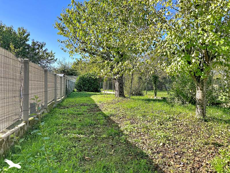 Vente Maison Neuvic - 4 pièces -93 m² - (24190)