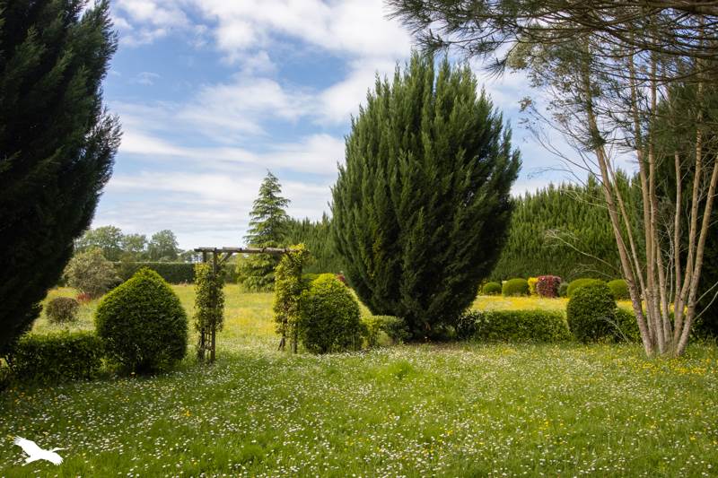 Vente Maison ST DOS - 9 pièces -281 m² - (64270)