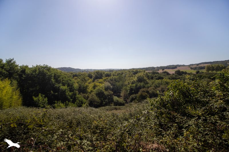 Vente Maison LABASTIDE VILLEFRANCHE - 4 pièces -130 m² - (64270)