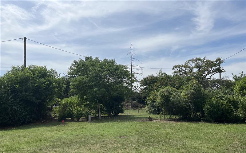 Vente Terrain SEYSSES - -825 m² - (31600)