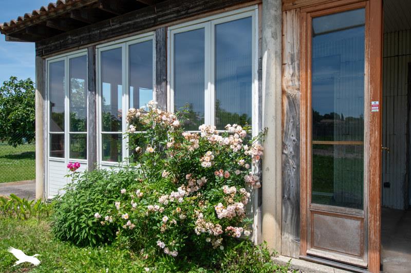 Vente Maison SEYSSES - 6 pièces -120 m² - (31600)