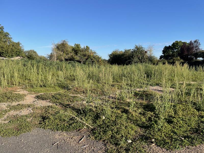Vente Terrain DOMERAT - -506 m² - (03410)