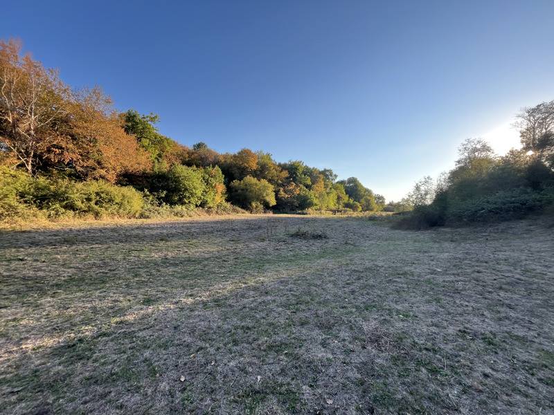 Vente Maison Domérat - 4 pièces -116 m² - (03410)