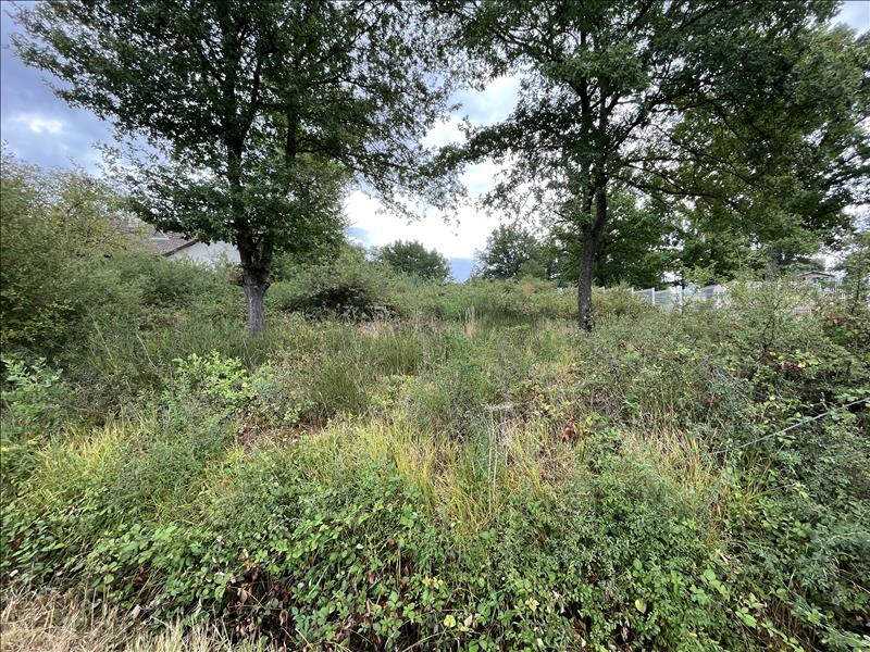 Vente Terrain DOMERAT - -957 m² - (03410)