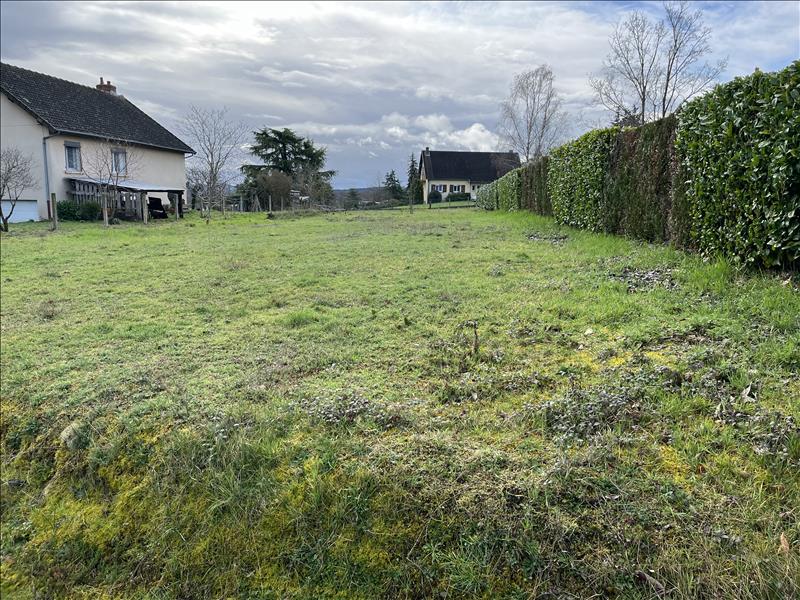 Vente Terrain HURIEL - -1300 m² - (03380)