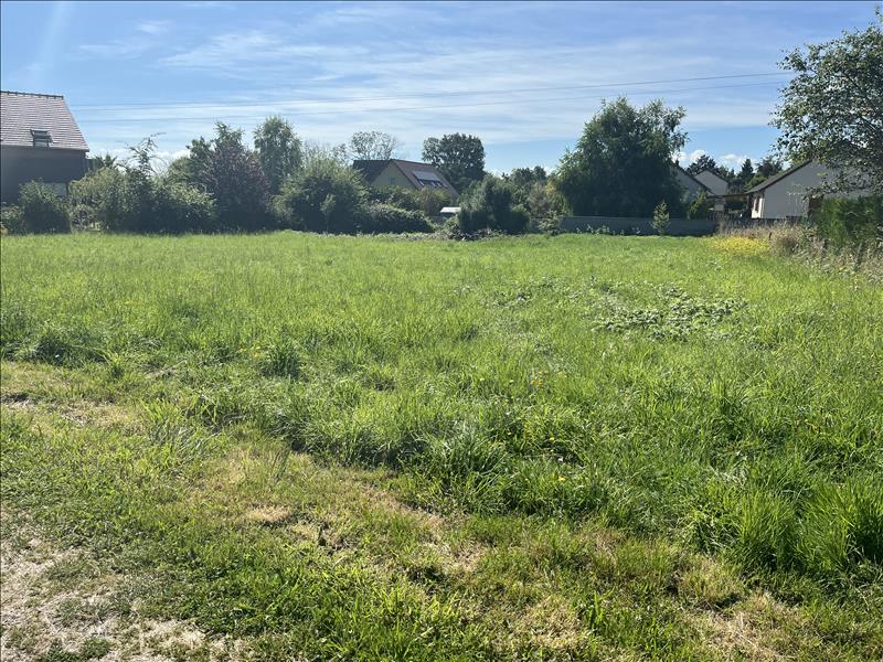 Vente Terrain HURIEL - -1167 m² - (03380)