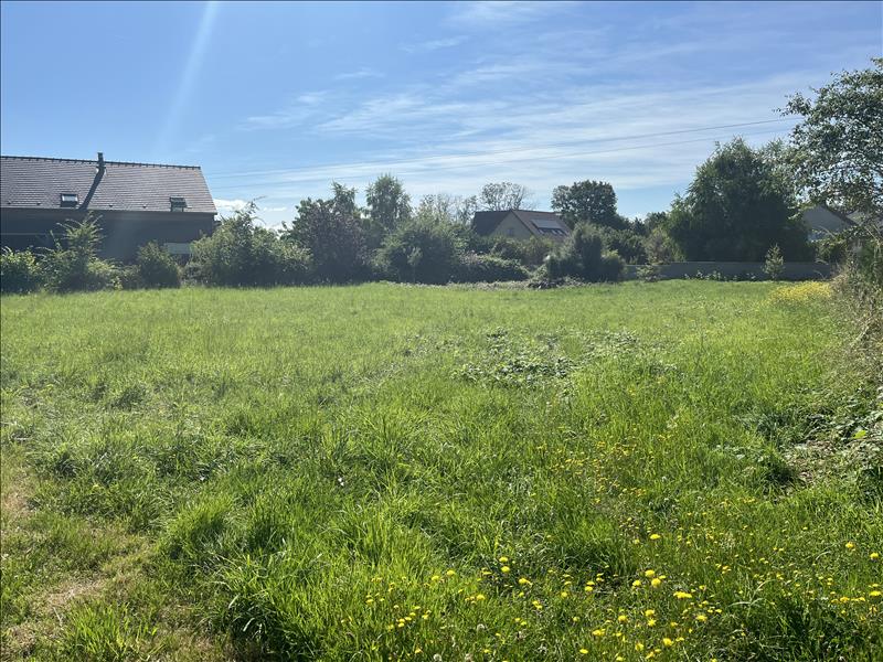 Vente Terrain HURIEL - -1167 m² - (03380)