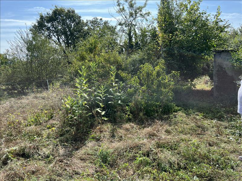 Vente Maison AUDES - 6 pièces -95 m² - (03190)