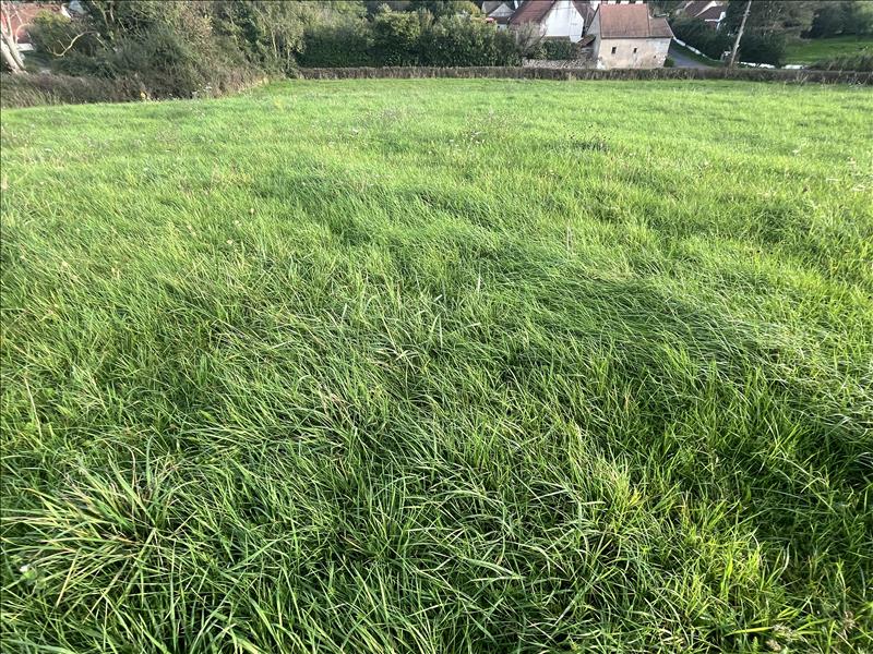 Vente Terrain VAUX - -1774 m² - (03190)