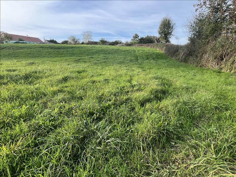 Vente Terrain VAUX - -1774 m² - (03190)