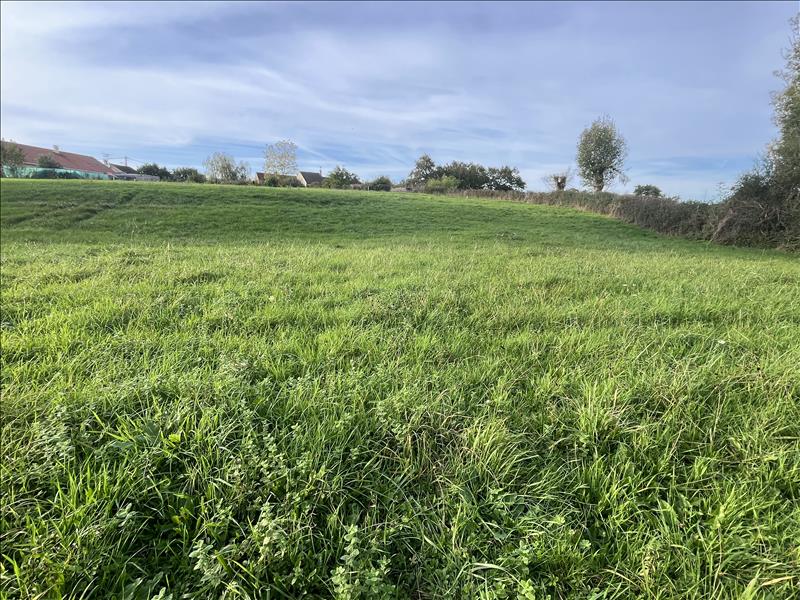 Vente Terrain VAUX - -1774 m² - (03190)