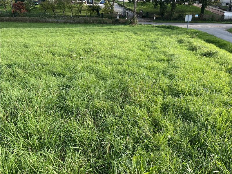 Vente Terrain VAUX - -1785 m² - (03190)