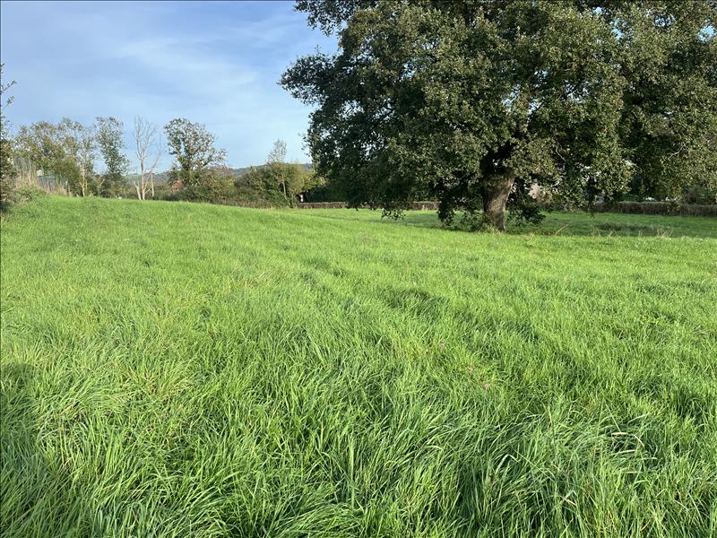 Vente Terrain VAUX - -1785 m² - (03190)