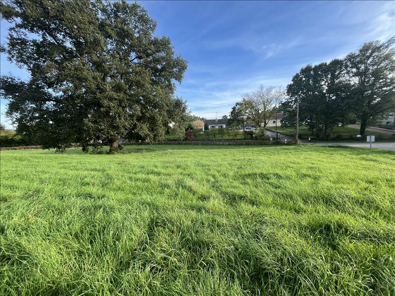Vente Terrain VAUX - -1785 m² - (03190)