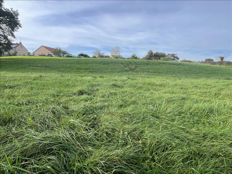 Vente Terrain VAUX - -2049 m² - (03190)