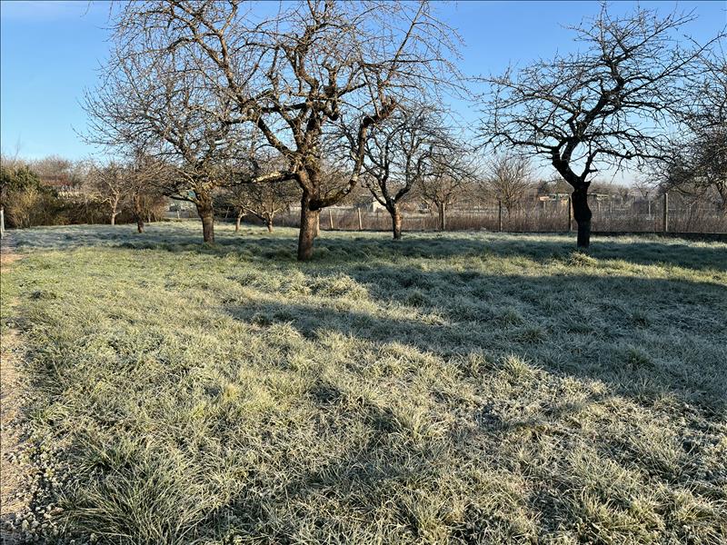 Vente Terrain DOMERAT - -804 m² - (03410)