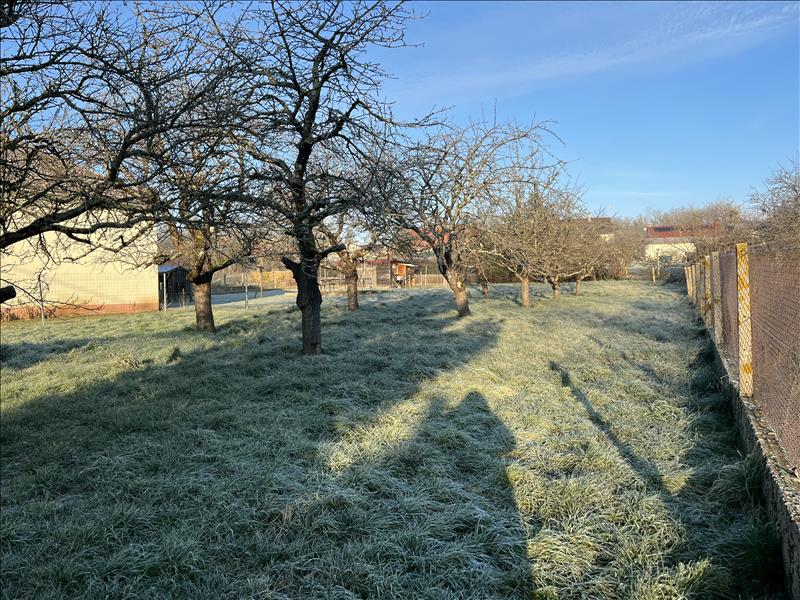 Vente Terrain DOMERAT - -804 m² - (03410)