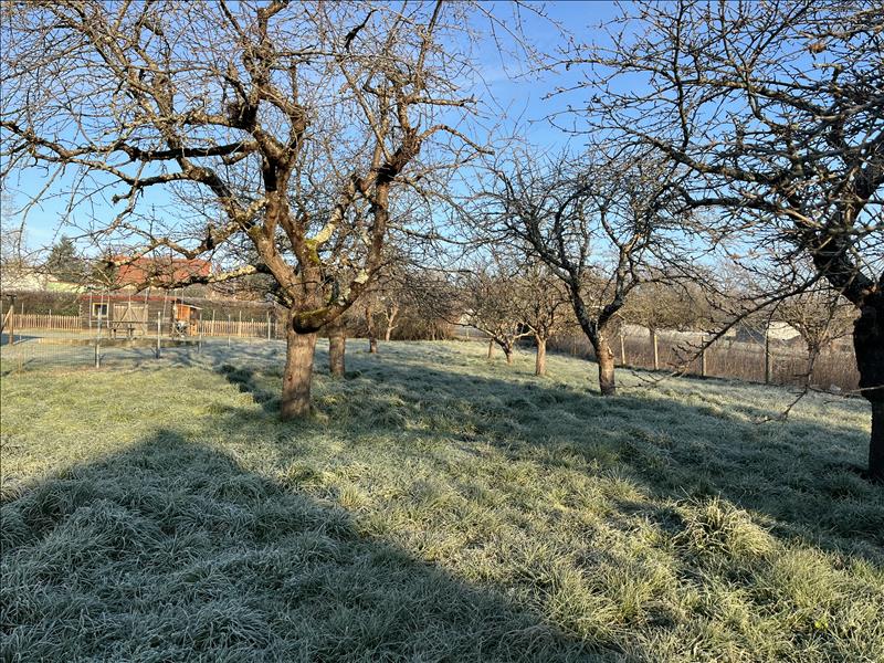 Vente Terrain DOMERAT - -804 m² - (03410)