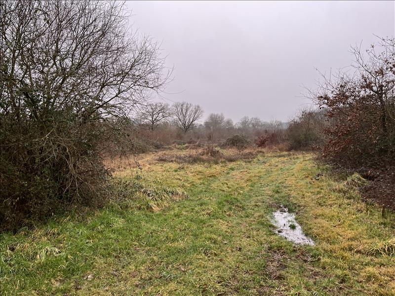 Vente Terrain ST DESIRE - -90000 m² - (03370)