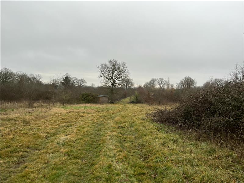 Vente Terrain ST DESIRE - -90000 m² - (03370)