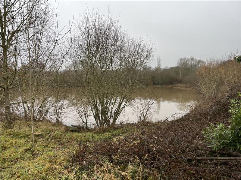 Vente Terrain ST DESIRE - -90000 m² - (03370)