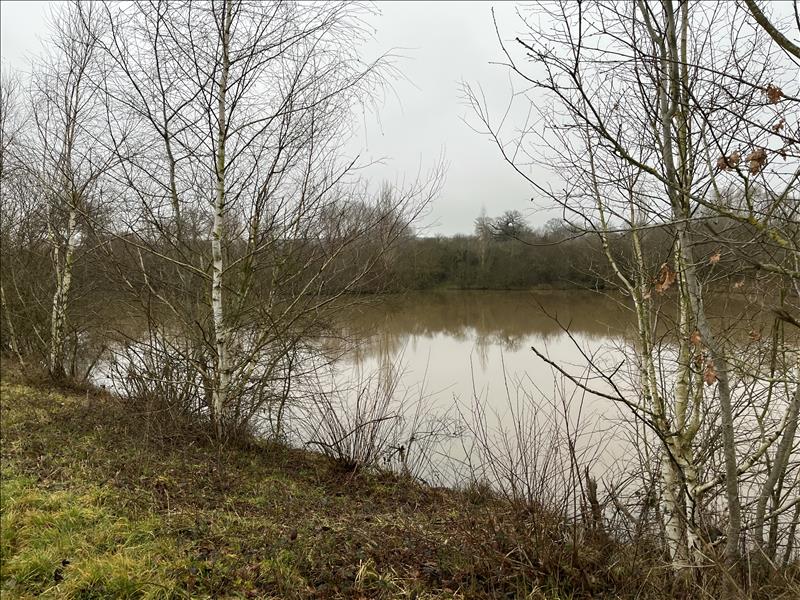 Vente Terrain ST DESIRE - -90000 m² - (03370)