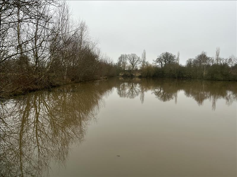 Vente Terrain ST DESIRE - -90000 m² - (03370)