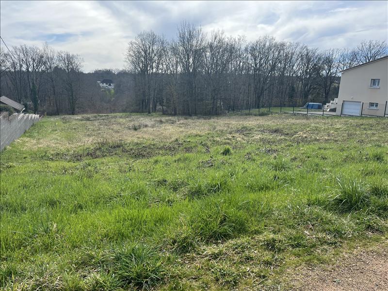 Vente Terrain DOMERAT - -2774 m² - (03410)