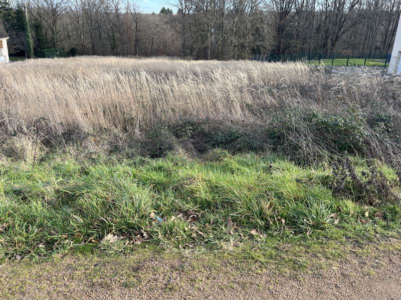 Vente Terrain DOMERAT - -2774 m² - (03410)