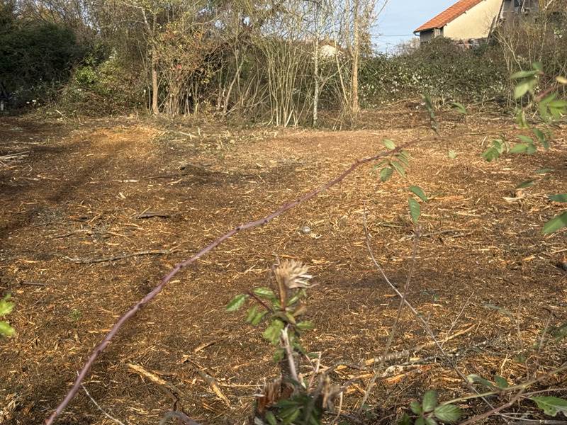 Vente Terrain DOMERAT - -1657 m² - (03410)