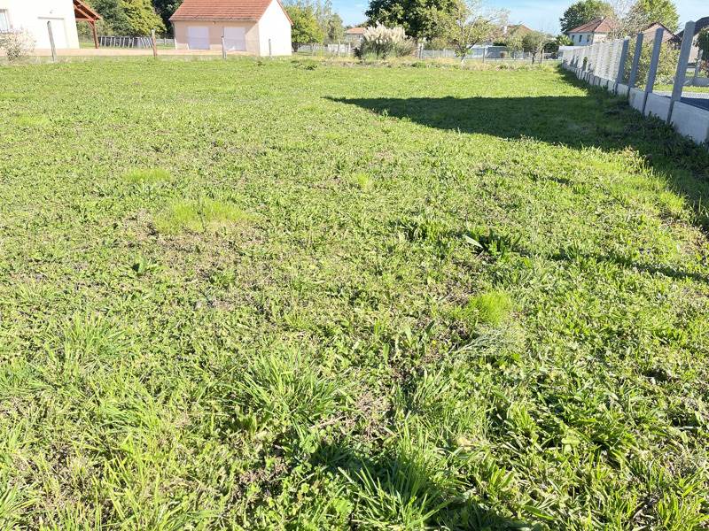 Vente Terrain DOMERAT - -1103 m² - (03410)