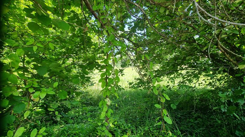 Vente Terrain LIVINHAC LE HAUT - -1065 m² - (12300)