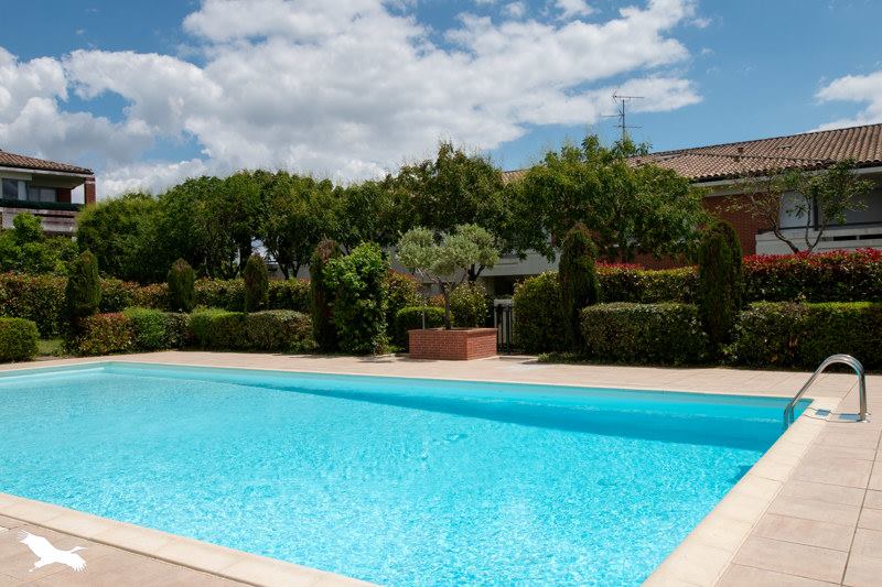 Vente Appartement FONSORBES - 3 pièces -63 m² - (31470)