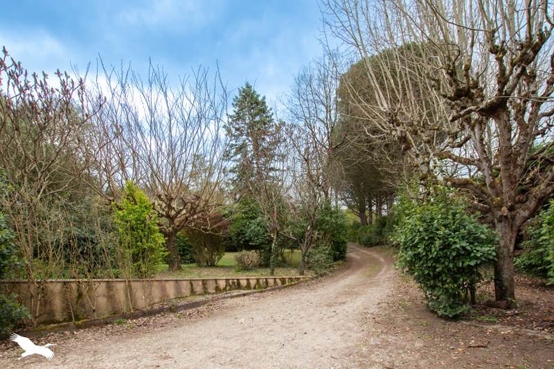 Vente Maison BEAUMONT SUR LEZE 31870 7 pièces - 230 m²