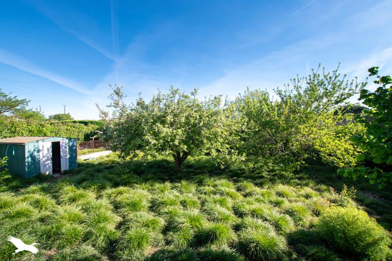 Vente Maison LAGARDELLE SUR LEZE - 4 pièces -96 m² - (31870)